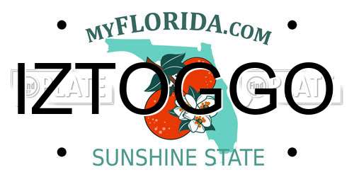 IZTOGGO Florida License Plate