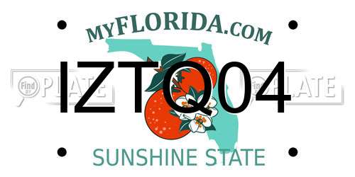 IZTQ04 Florida License Plate
