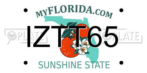 IZTT65 Florida License Plate