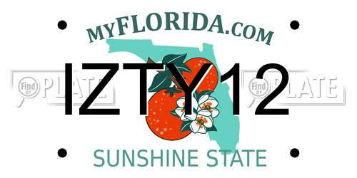 IZTY12 Florida License Plate