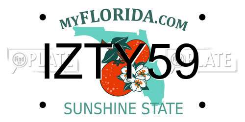 IZTY59 Florida License Plate