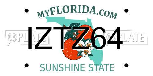 IZTZ64 Florida License Plate