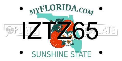IZTZ65 Florida License Plate