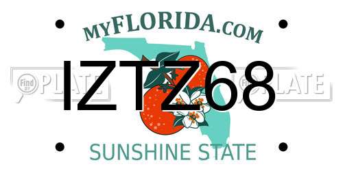 IZTZ68 Florida License Plate
