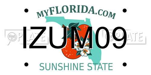 IZUM09 Florida License Plate