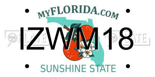 IZWM18 Florida License Plate