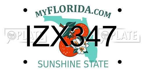 IZX347 Florida License Plate