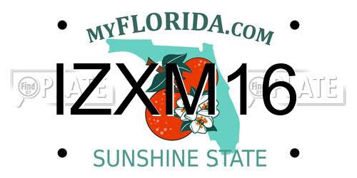 IZXM16 Florida License Plate