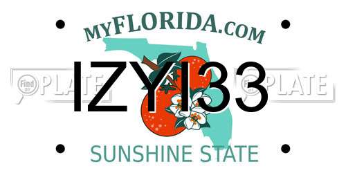 IZYI33 Florida License Plate