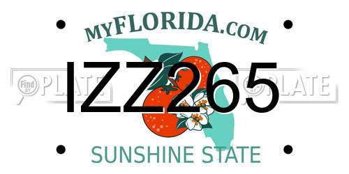 IZZ265 Florida License Plate