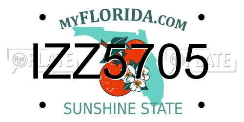 IZZ5705 Florida License Plate