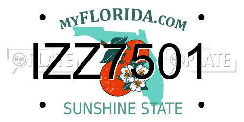 IZZ7501 Florida License Plate