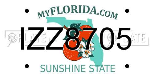 IZZ8705 Florida License Plate