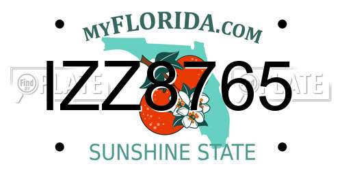 IZZ8765 Florida License Plate