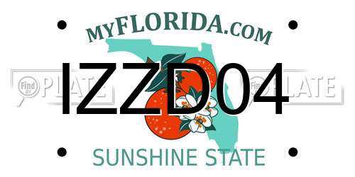 IZZD04 Florida License Plate