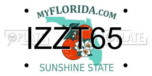 IZZT65 Florida License Plate
