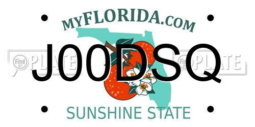 J00DSQ Florida License Plate