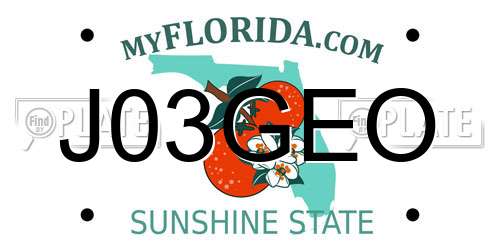 J03GEO Florida License Plate