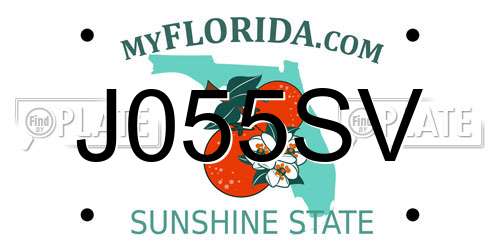 J055SV Florida License Plate