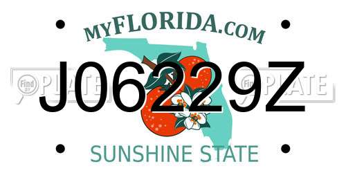 J06229Z Florida License Plate