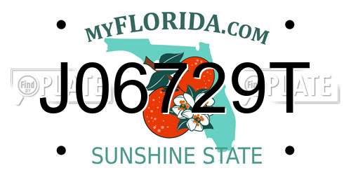 J06729T Florida License Plate