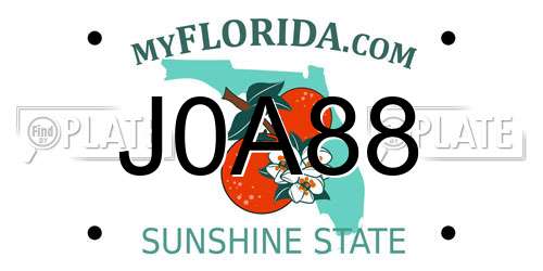 J0A88 Florida License Plate