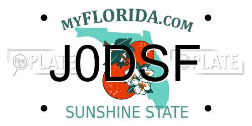 J0DSF Florida License Plate