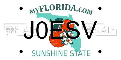 J0ESV Florida License Plate