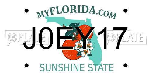 J0EY17 Florida License Plate