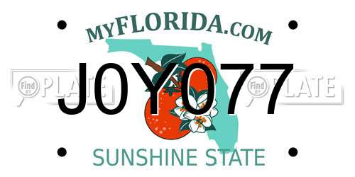 J0Y077 Florida License Plate