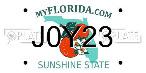 J0Y23 Florida License Plate
