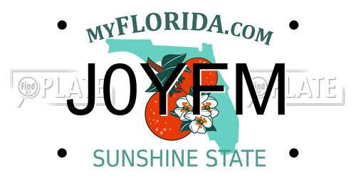 J0YFM Florida License Plate