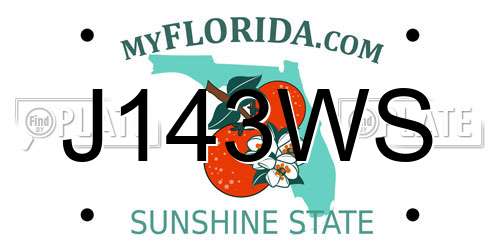 J143WS Florida License Plate