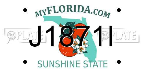 J1871I Florida License Plate