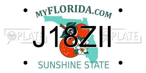 J18ZII Florida License Plate