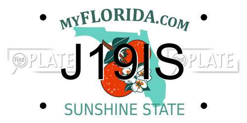 J19IS Florida License Plate