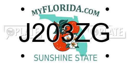 J203ZG Florida License Plate