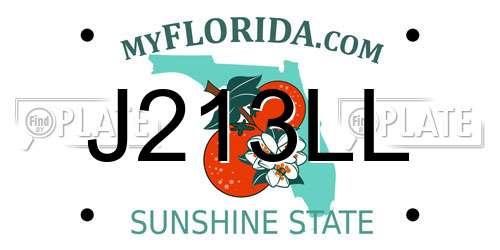 J213LL Florida License Plate