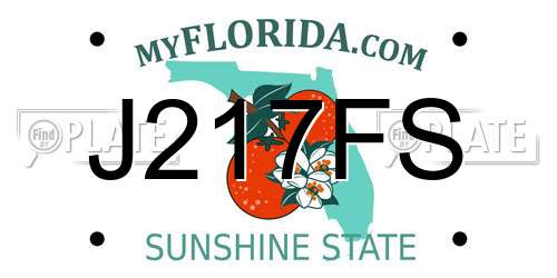 J217FS Florida License Plate