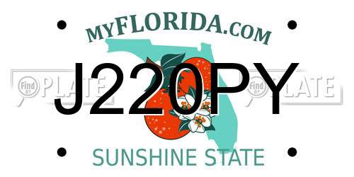 J220PY Florida License Plate