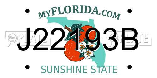 J22193B Florida License Plate