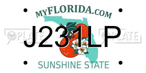 J231LP Florida License Plate