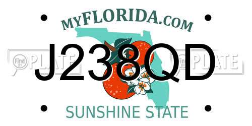 J238QD Florida License Plate
