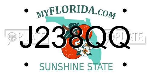 J238QQ Florida License Plate