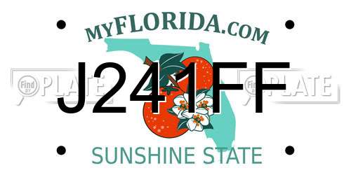 J241FF Florida License Plate