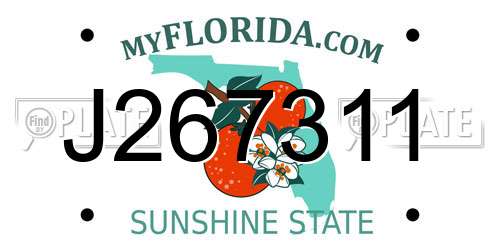 J267311 Florida License Plate