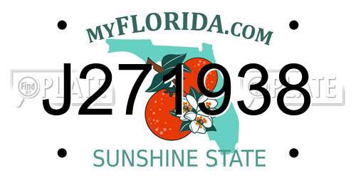J271938 Florida License Plate