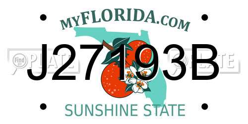 J27193B Florida License Plate