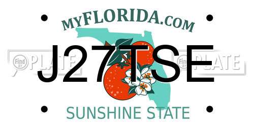 J27TSE Florida License Plate