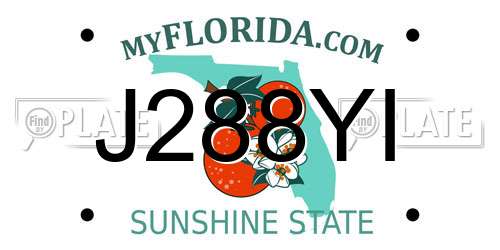 J288YI Florida License Plate
